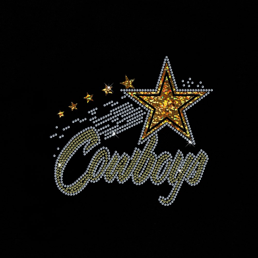 Sequin transfer detail